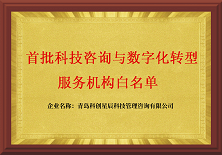 首批科技資訊與數字化轉型服務機構白名單